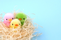 鳥の巣でリラックスする