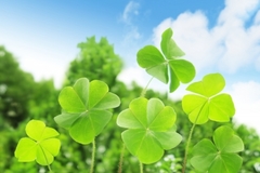 「健康である」ことって難しいかも…