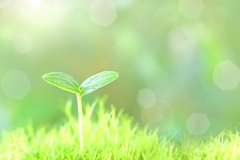 ４月のレッスンスケジュール　高槻、松井山手、宇治