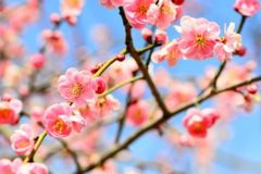 あなたの「なんとなく」はどんなもの？