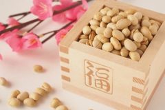 ２月のレッスンスケジュール